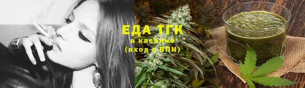хмурый Арсеньев
