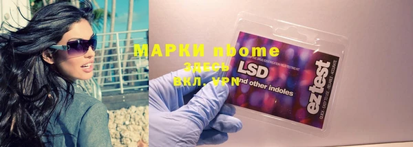 хмурый Арсеньев