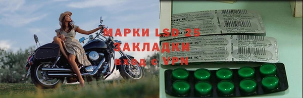 хмурый Арсеньев