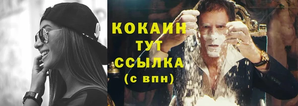хмурый Арсеньев