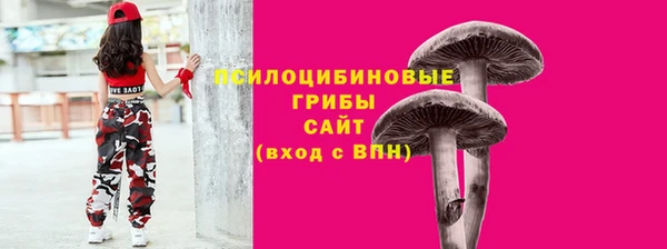 ECSTASY Аркадак