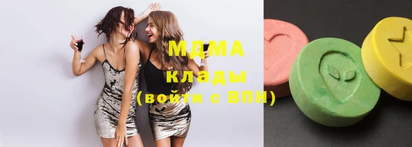 хмурый Арсеньев