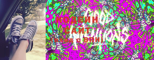 хмурый Арсеньев