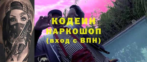 хмурый Арсеньев