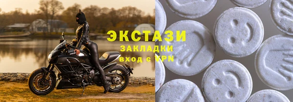хмурый Арсеньев