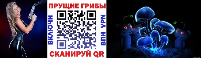 Купить закладки  Ардатов  Галлюциногенные грибы ЛСД 